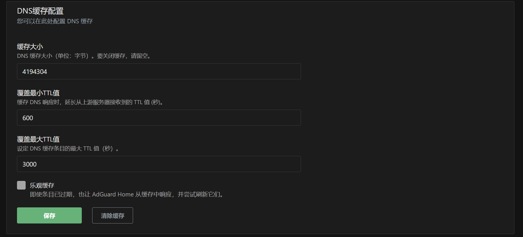 DNS缓存设置